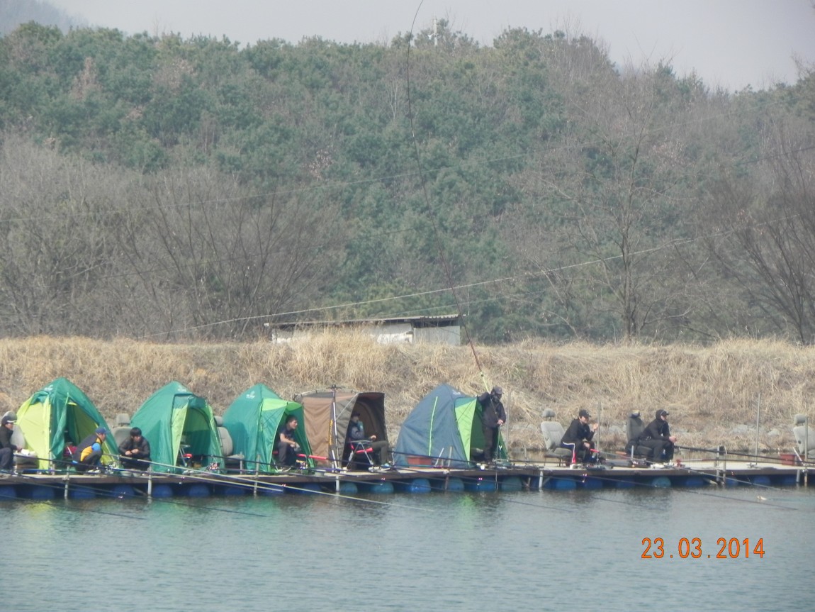 DSCN6566.JPG