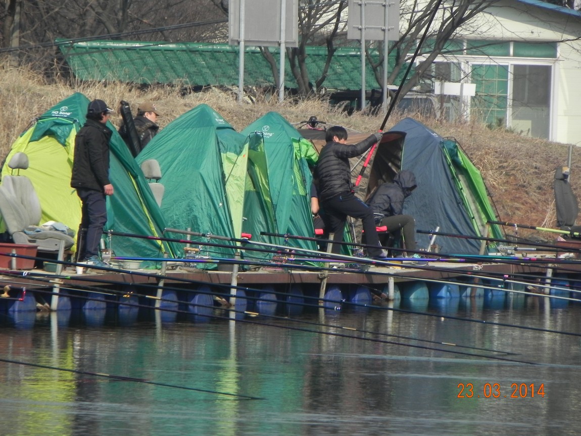 DSCN6542.JPG