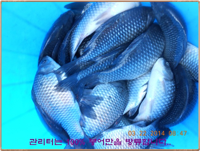 �ٹ̱�_DSCN0145[1].jpg