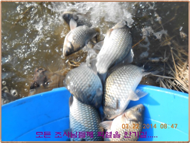 �ٹ̱�_DSCN0146[1].jpg