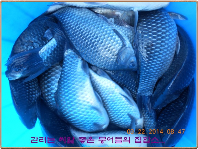 �ٹ̱�_DSCN0147[1].jpg