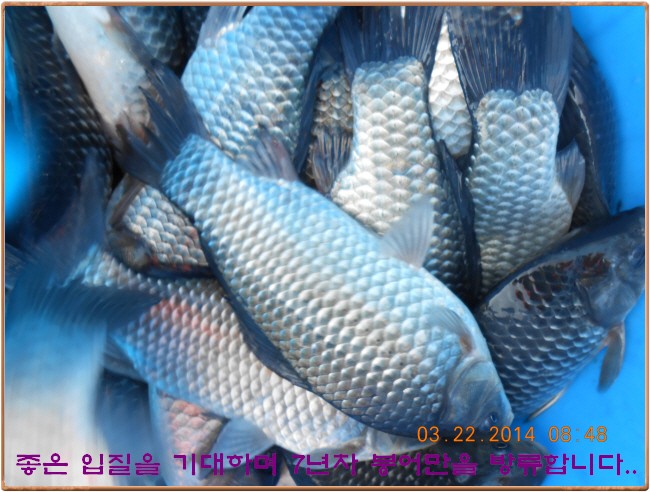 �ٹ̱�_DSCN0148[1].jpg