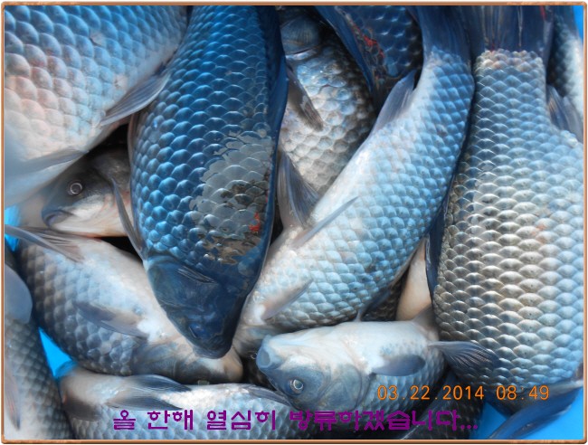 �ٹ̱�_DSCN0150[1].jpg