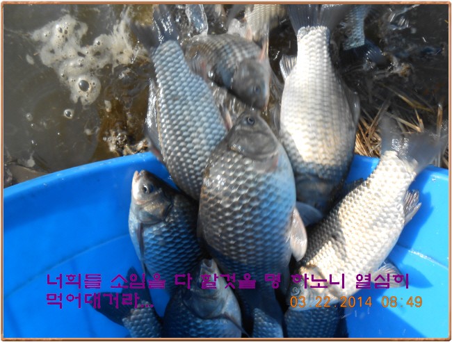 �ٹ̱�_DSCN0151[1].jpg