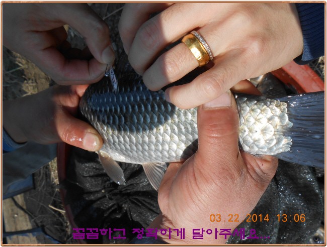 �ٹ̱�_DSCN0157[1].jpg