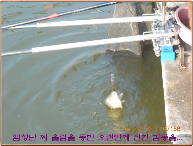 �ٹ̱�_DSCN0181[1].jpg