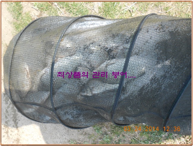 �ٹ̱�_DSCN0189[2].jpg