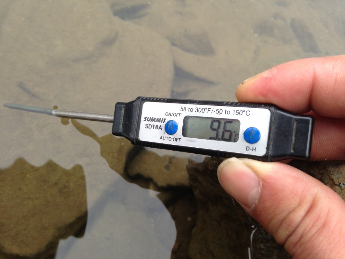 ���� 002.jpg