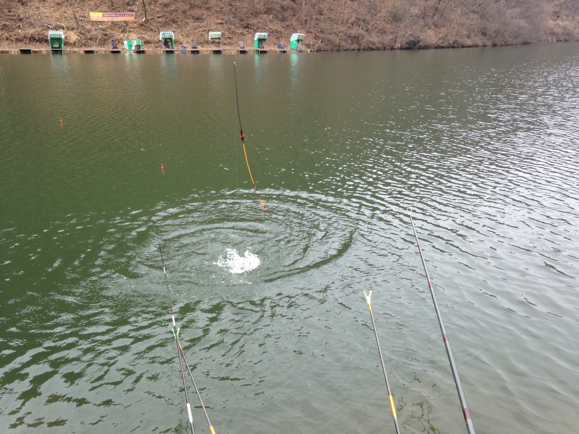 ���� 006.jpg