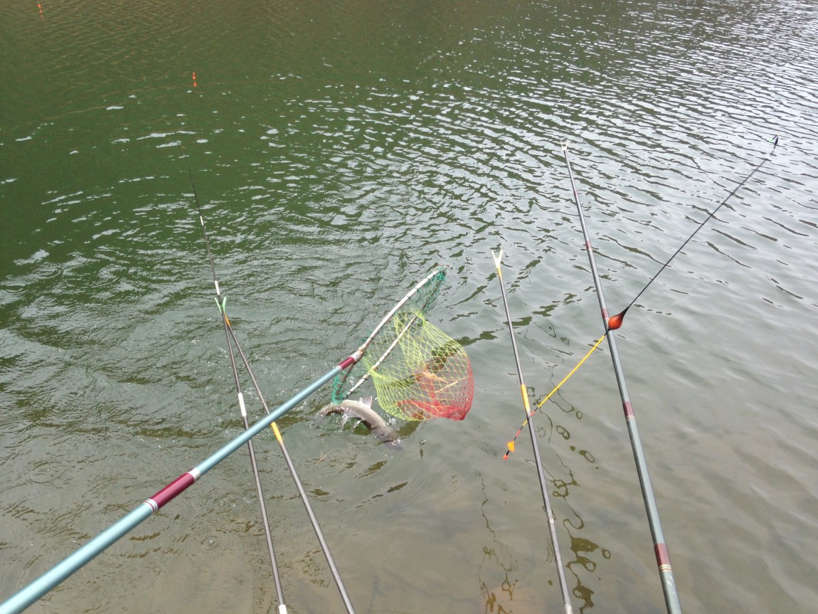 ���� 007.jpg