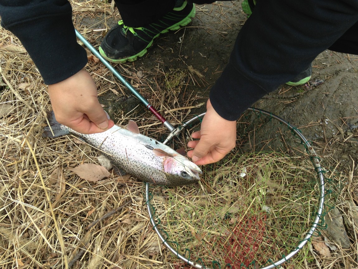 ���� 012.jpg