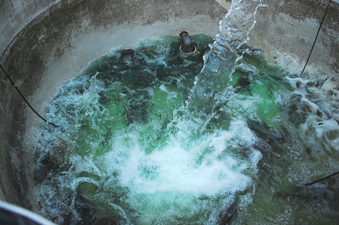 �ٹ̱�_DSC_0478.JPG