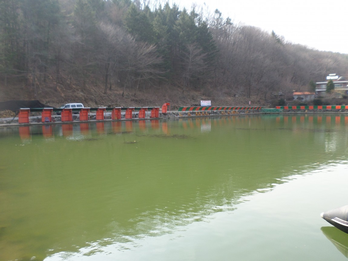 SAM_0119.JPG