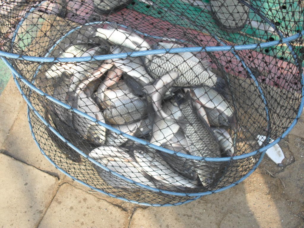 ���� 009.jpg