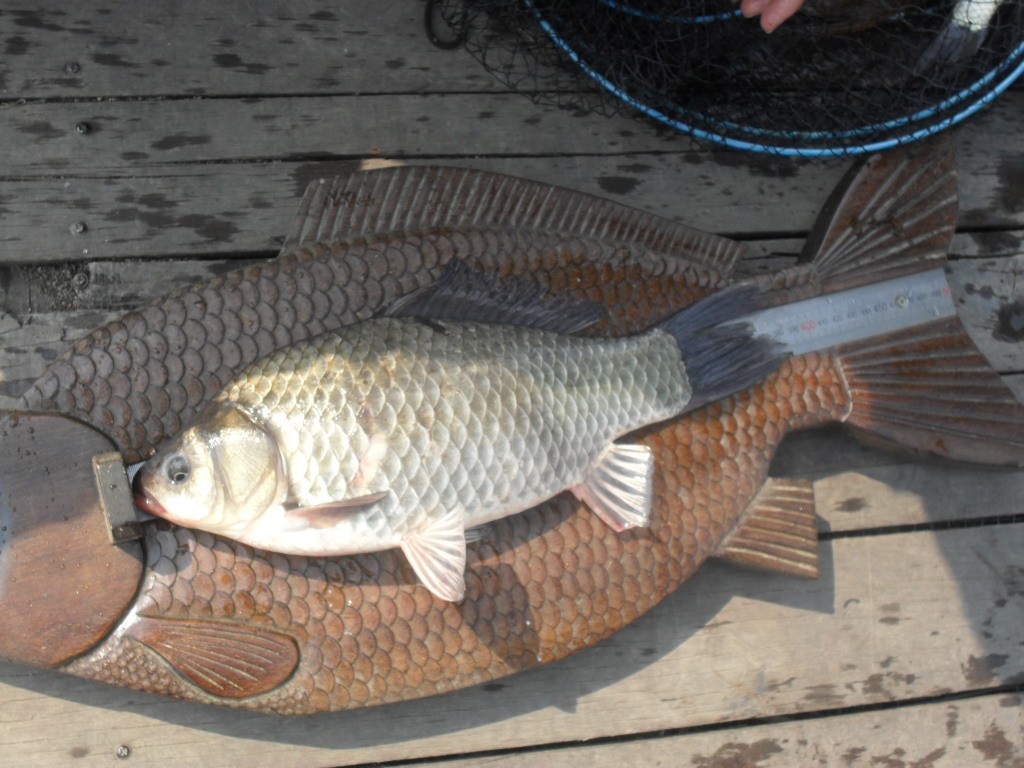 ���� 012.jpg