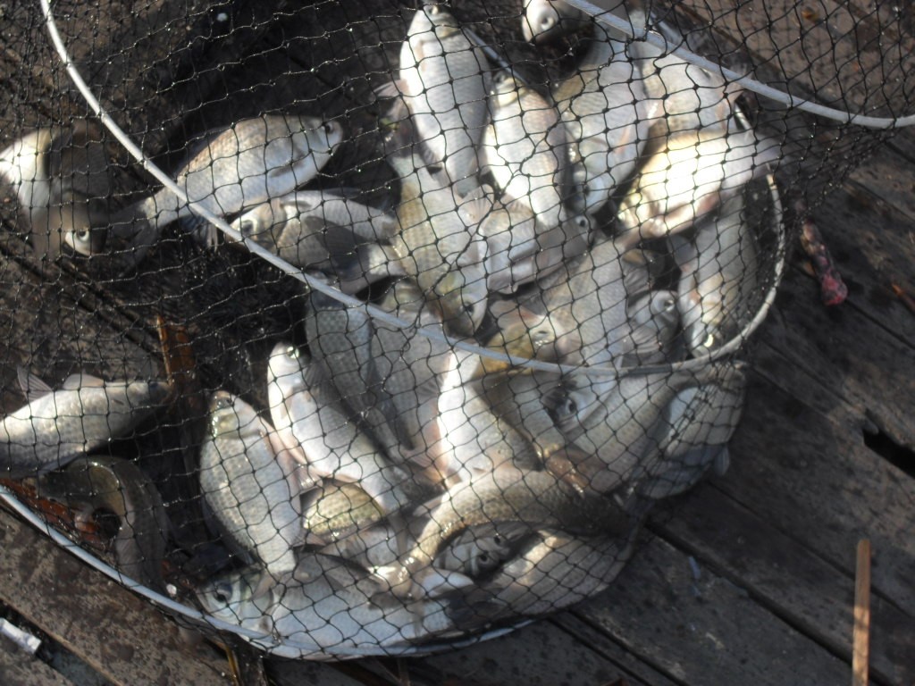 ���� 016.jpg