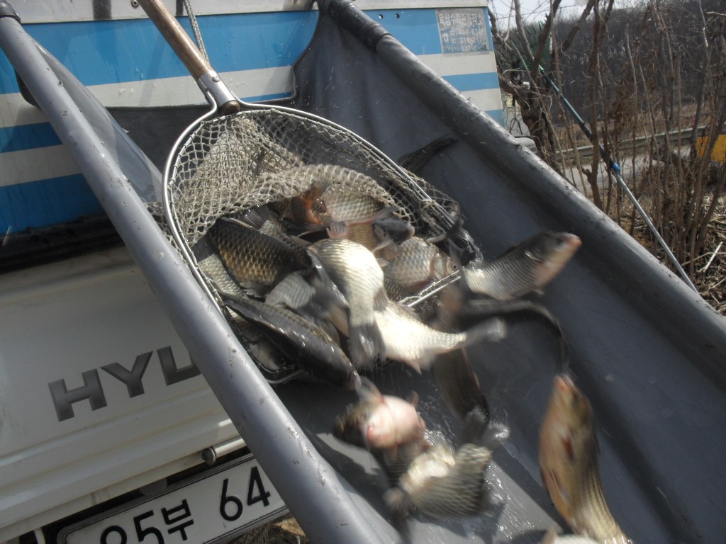 ���� 018.jpg