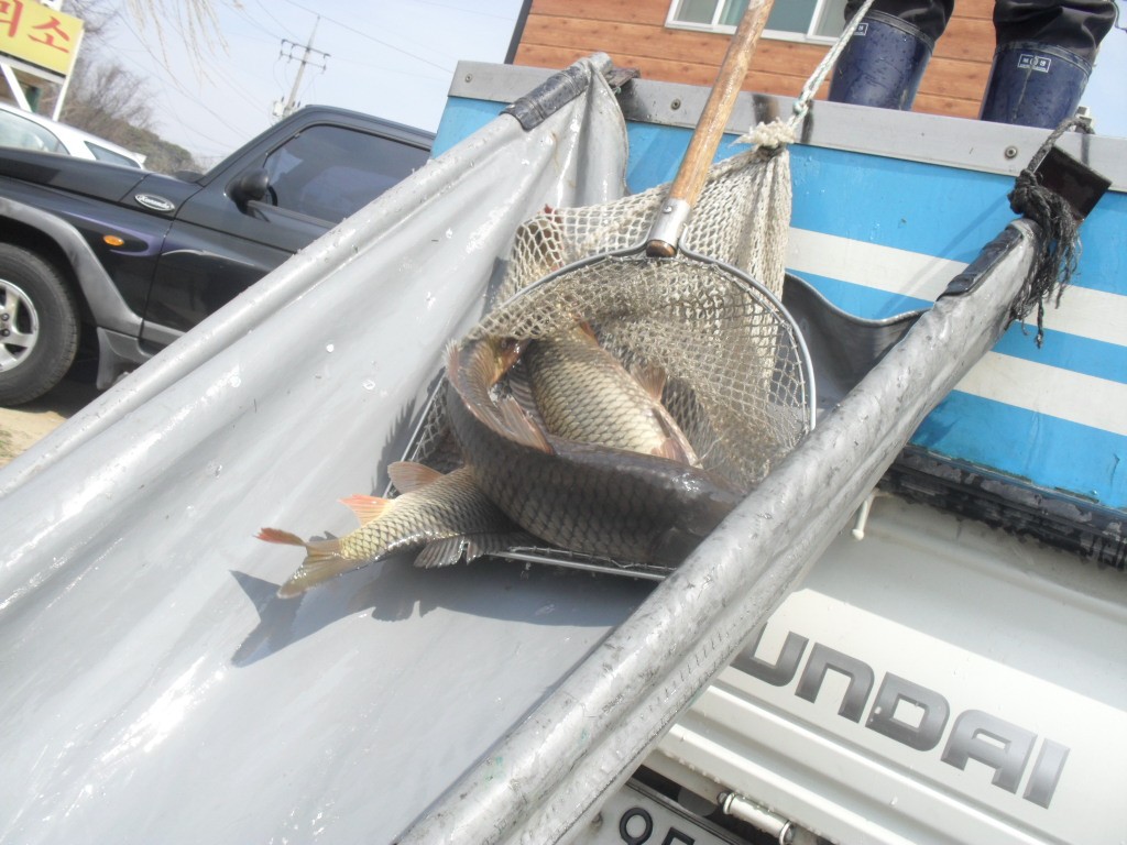 ���� 024.jpg