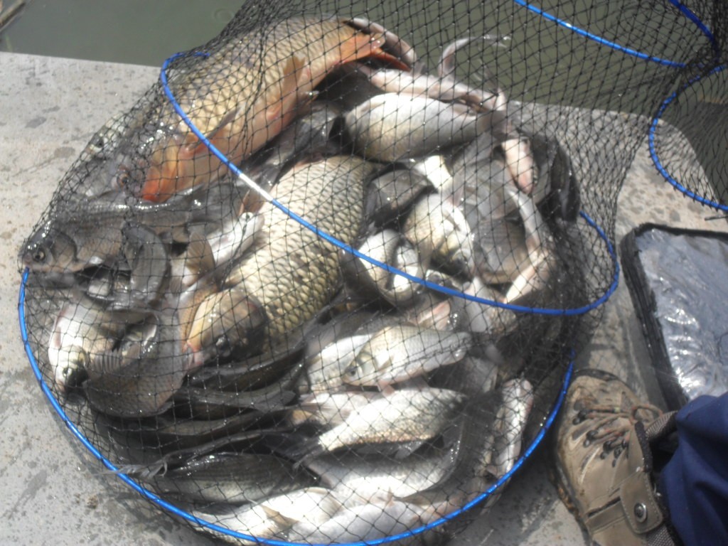 ���� 025.jpg