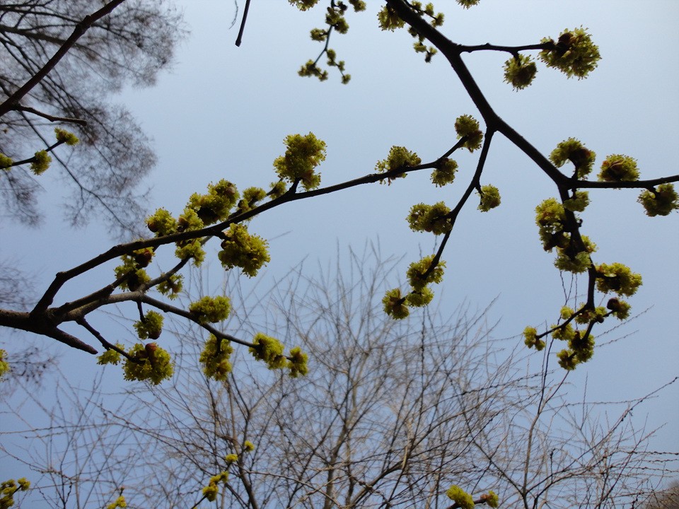 DSC01113.jpg
