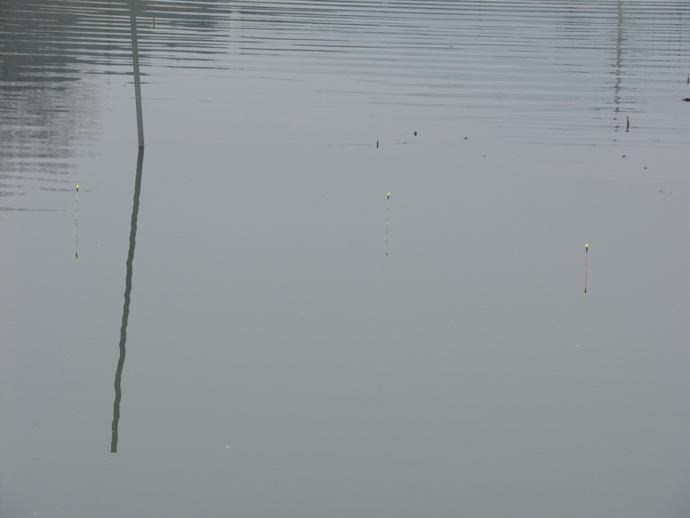 SH107725.JPG
