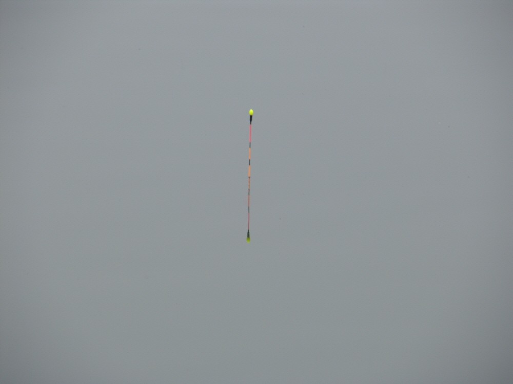 SH107727.JPG