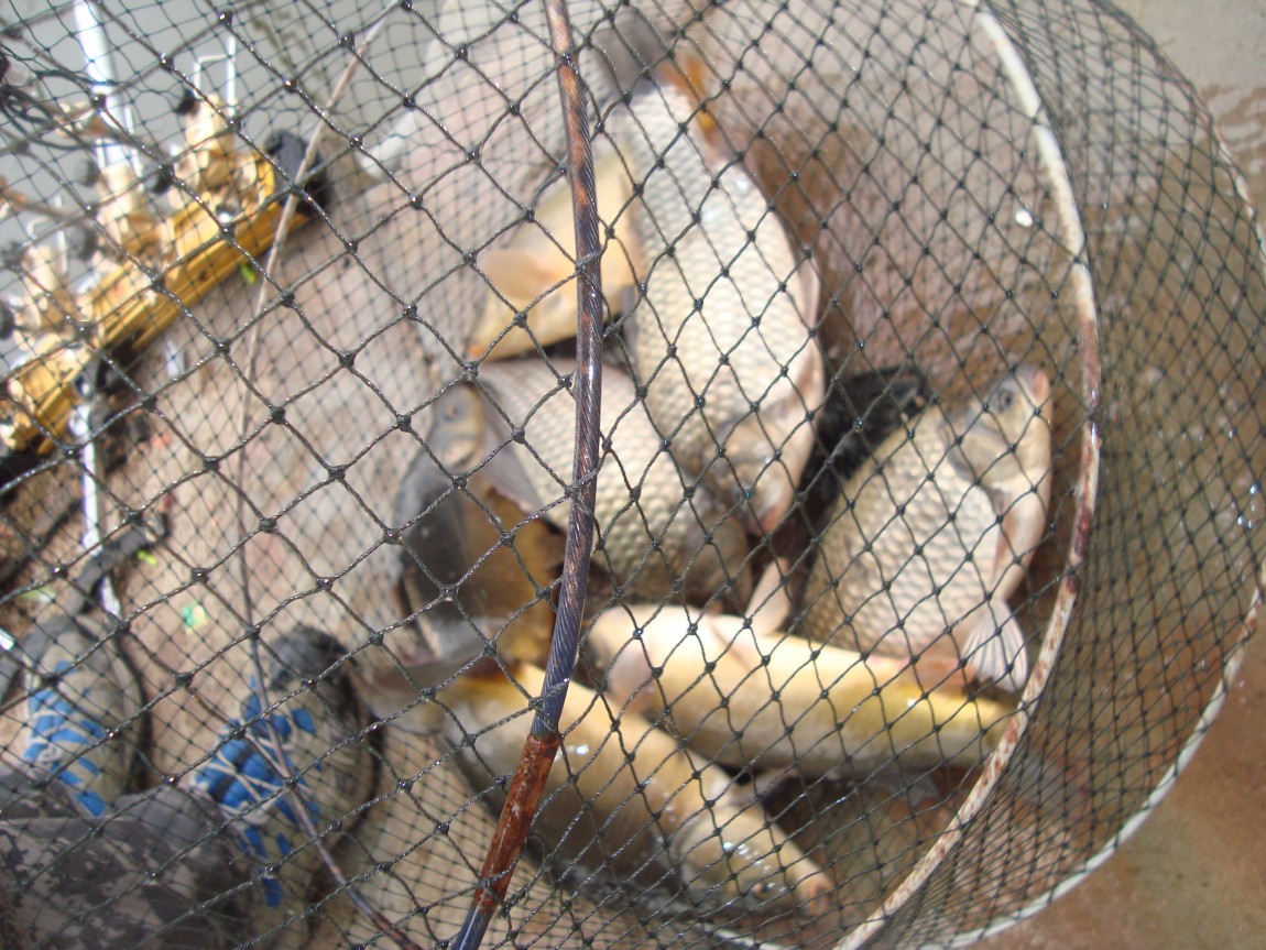 2014-3-26 002.JPG