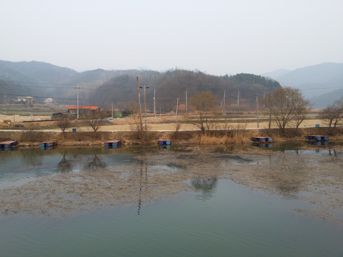 20140327_175353.jpg