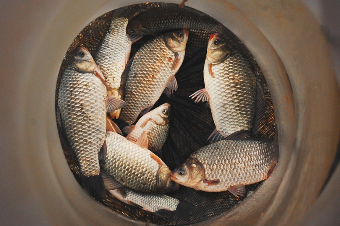 ٹ̱_DSC_0522.JPG