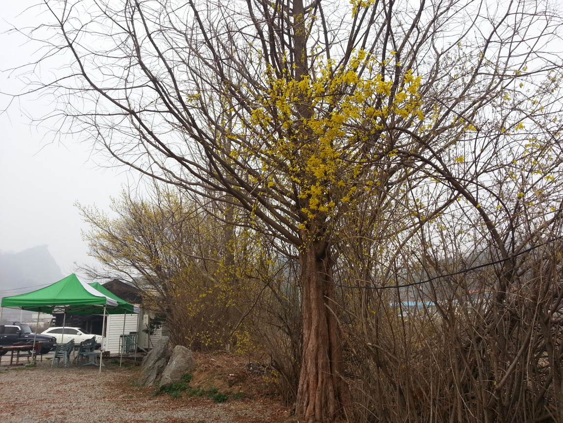 20140328_073047.jpg