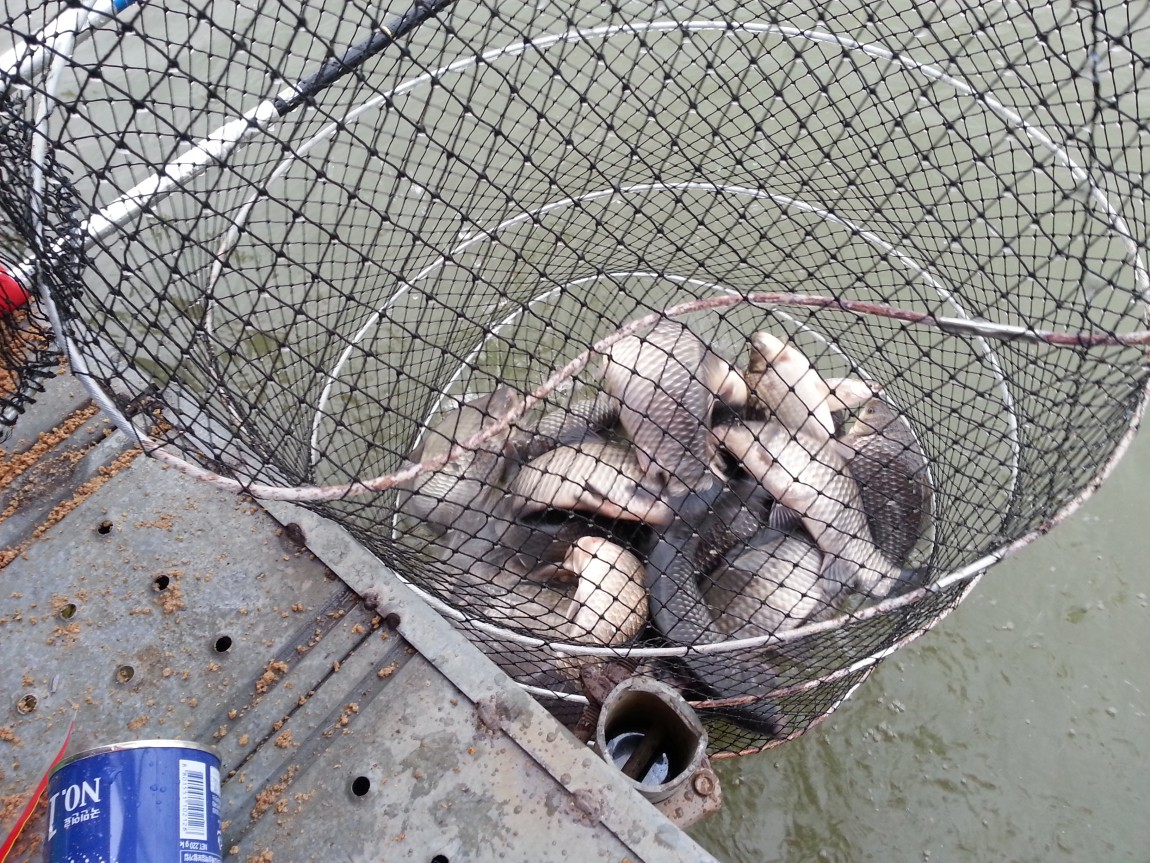 20140328_072819.jpg