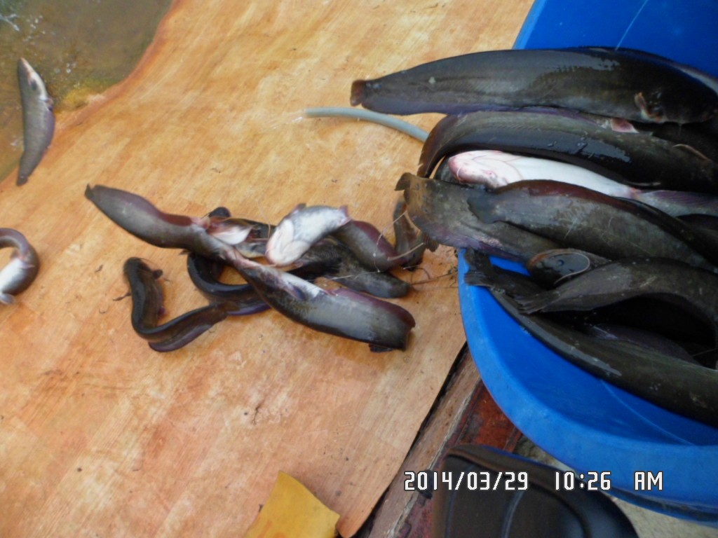 ��Ȳ 012.jpg