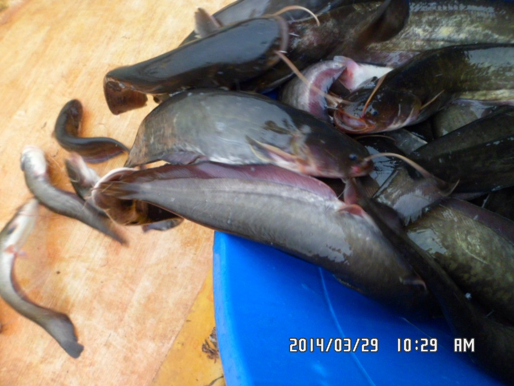 ��Ȳ 017.jpg