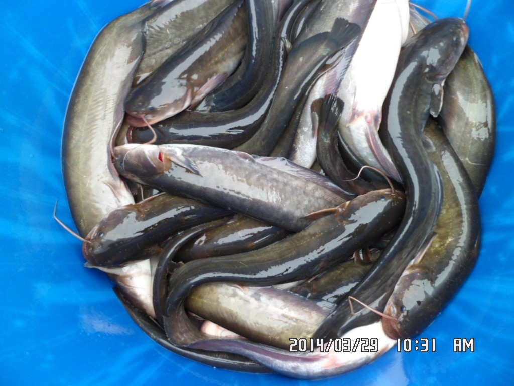 ��Ȳ 022.jpg