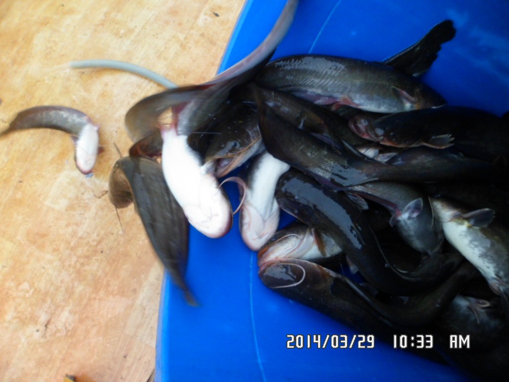 ��Ȳ 023.jpg