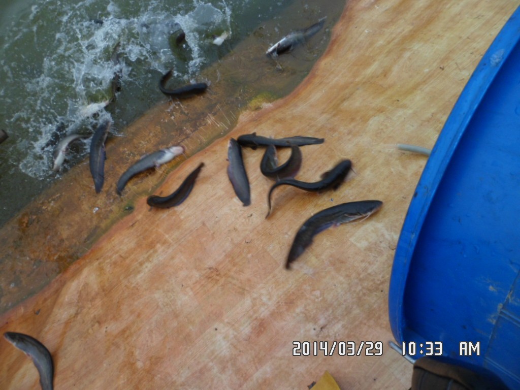 ��Ȳ 024.jpg