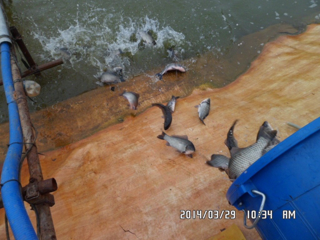 ��Ȳ 027.jpg