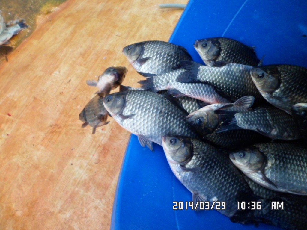 ��Ȳ 029.jpg