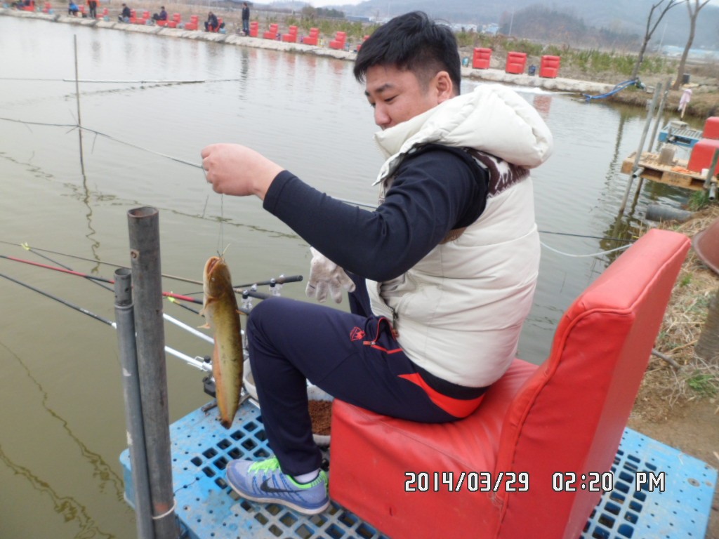 SAM_0138.JPG