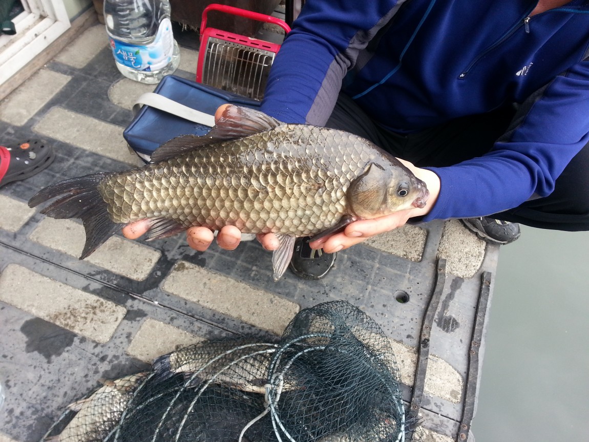 20140329_092631.jpg
