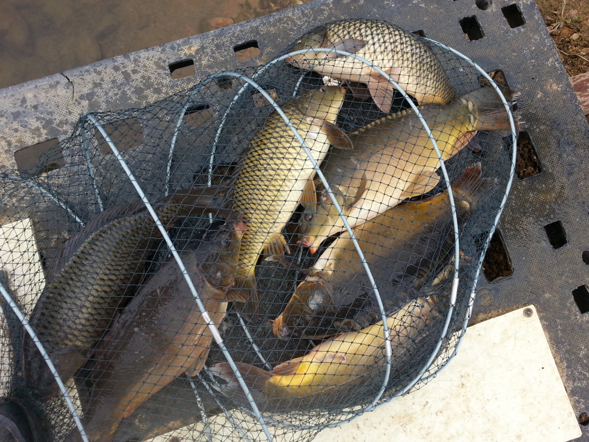 20140329_111949.jpg