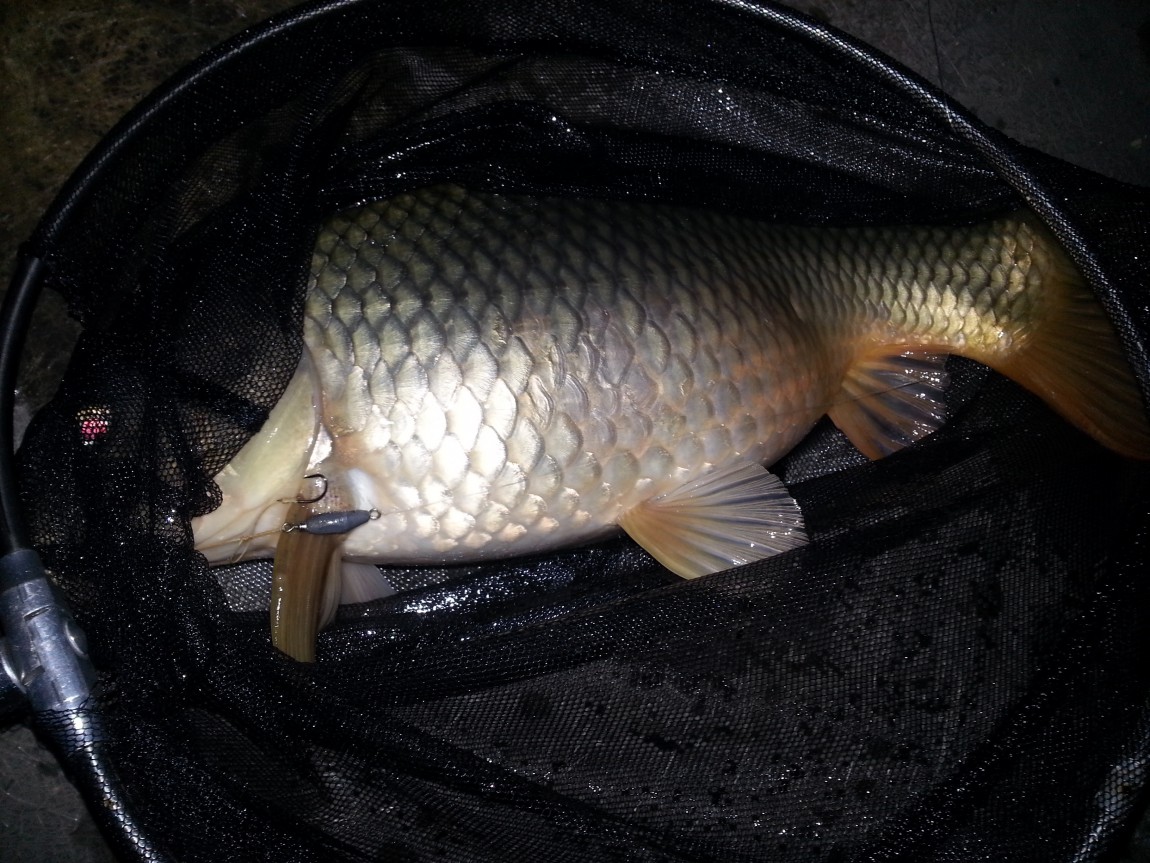 20140330_204028.jpg