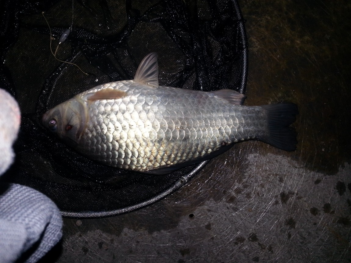 20140330_210712.jpg
