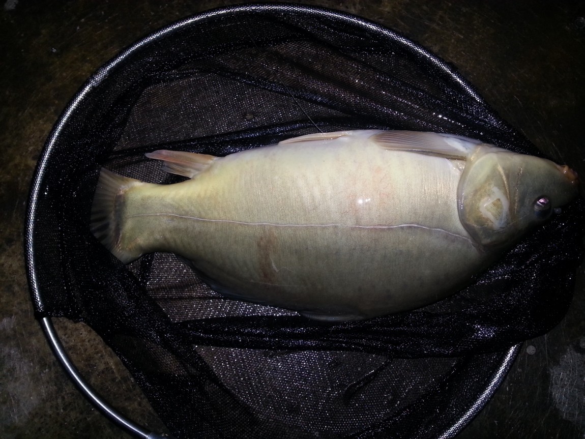 20140330_212850.jpg