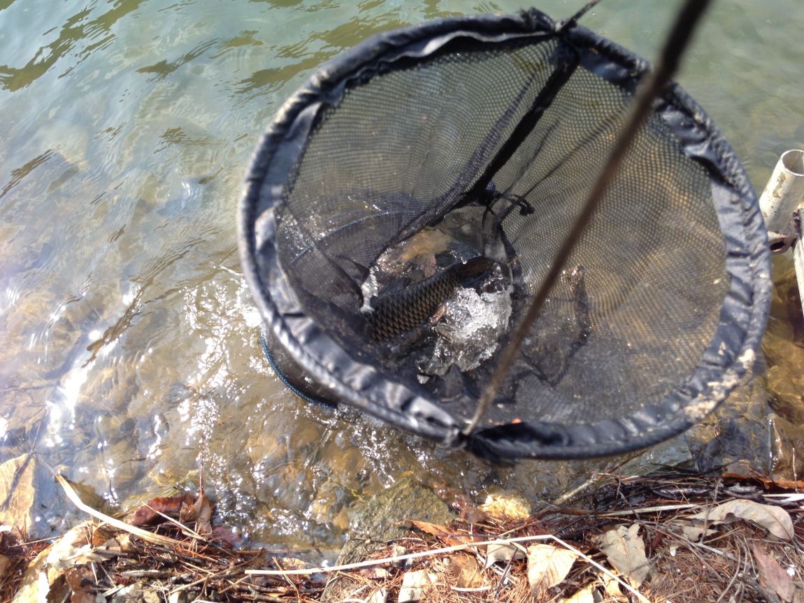 ���� 002.jpg