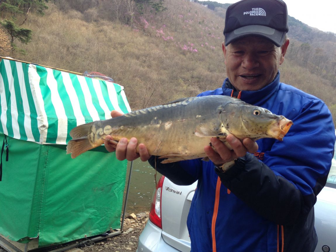 ���� 003.jpg