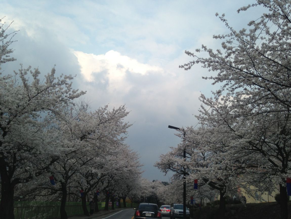 ���� 004.jpg