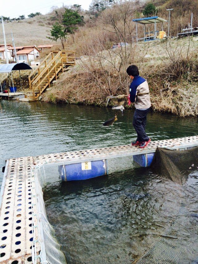 ���� 005.jpg