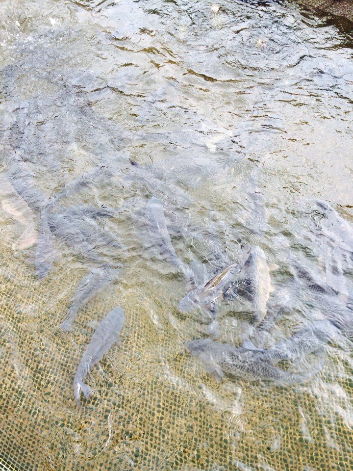 ���� 007.jpg