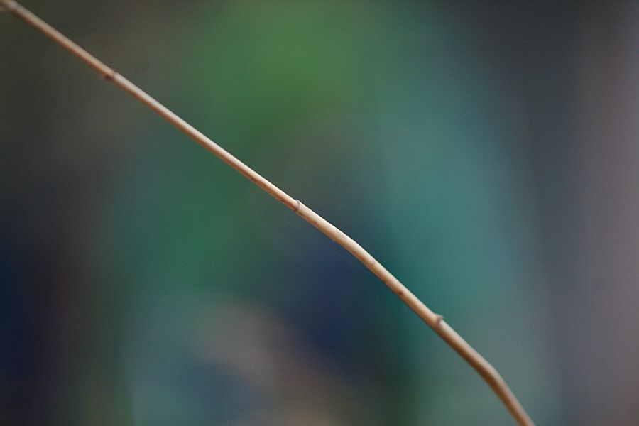 �ٹ̱�_�ź��� ���� 385.jpg